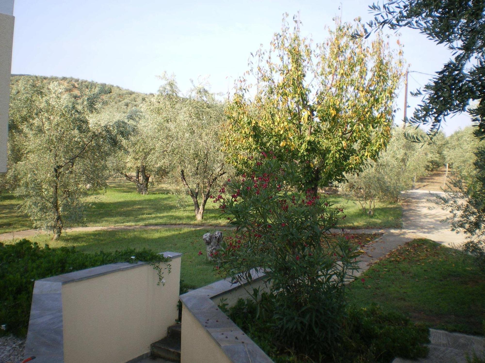 Villa Christina Amaliápoli Dış mekan fotoğraf